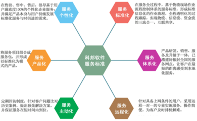 網(wǎng)絡(luò)技術(shù)服務(wù) 構(gòu)筑數(shù)字時代的基石與橋梁